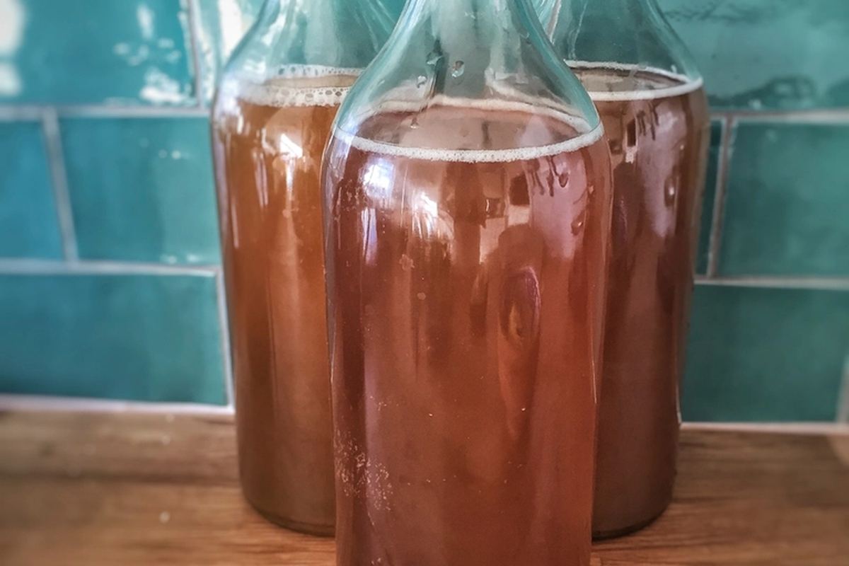Fermented tea, the base of the gummy.