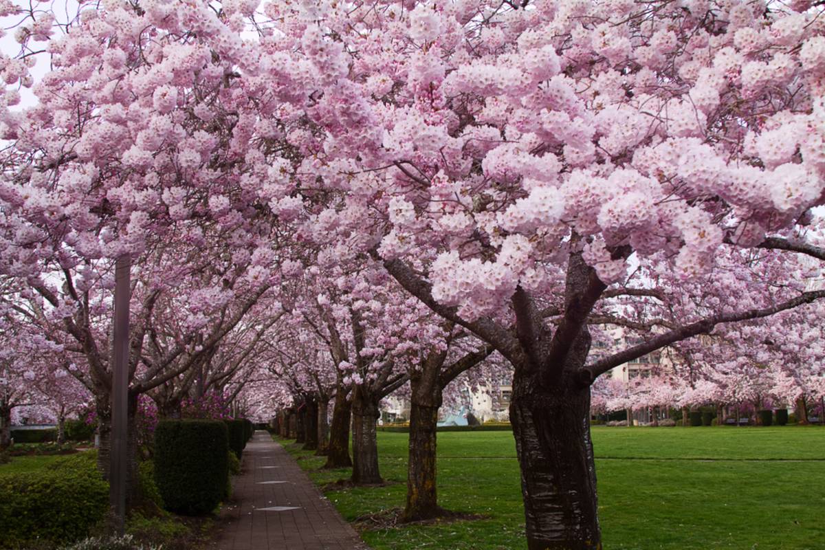 Walking into spring.